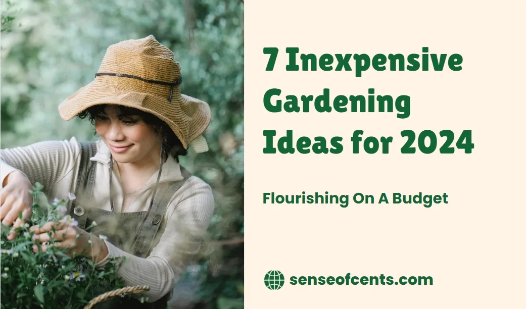 7 Inexpensive Gardening Ideas for 2024 | Sense Of Cents